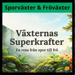 Sporväxter och Fröväxter