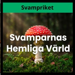 Svampriket