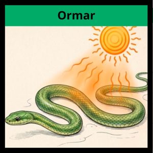 Fakta om ormar