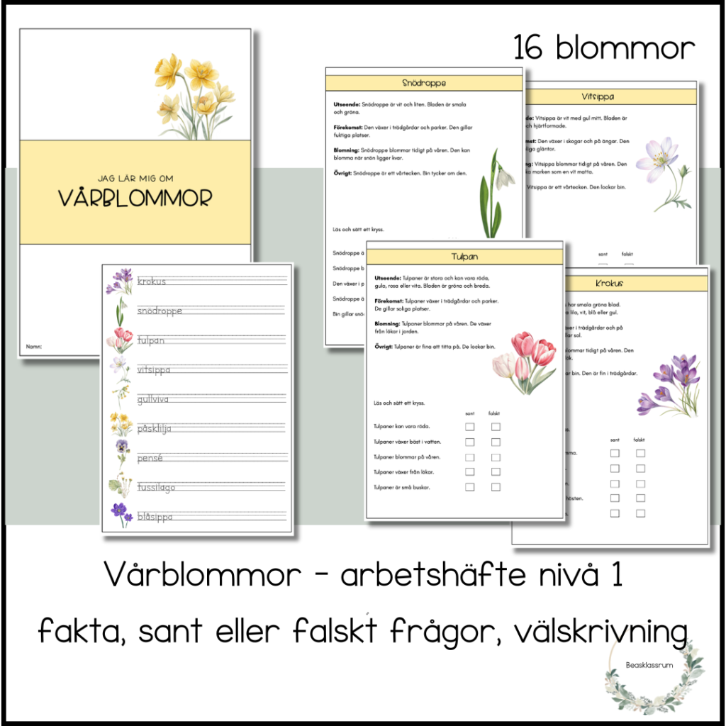 Vårblommor – arbetshäfte nivå 1