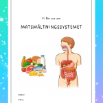 Vi lär oss om Matsmältningssystemet - bild 1