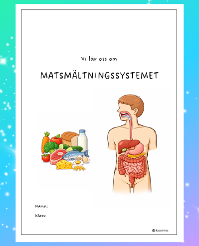 Vi lär oss om Matsmältningssystemet
