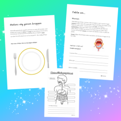 Vi lär oss om Matsmältningssystemet