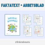 Individer och gemenskaper – Helt arbetsområde (Faktatext med frågor + Begreppskort + Prov + Övningar) - bild 2