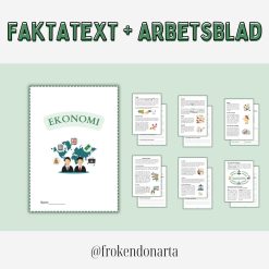 Ekonomi - Helt arbetsområde (Faktatext med frågor + Begreppskort + Prov + Resonemang och samband övningar + Livets lotteri)