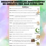 Islam: Arbetshäfte med anpassade texter och uppgifter - bild 6