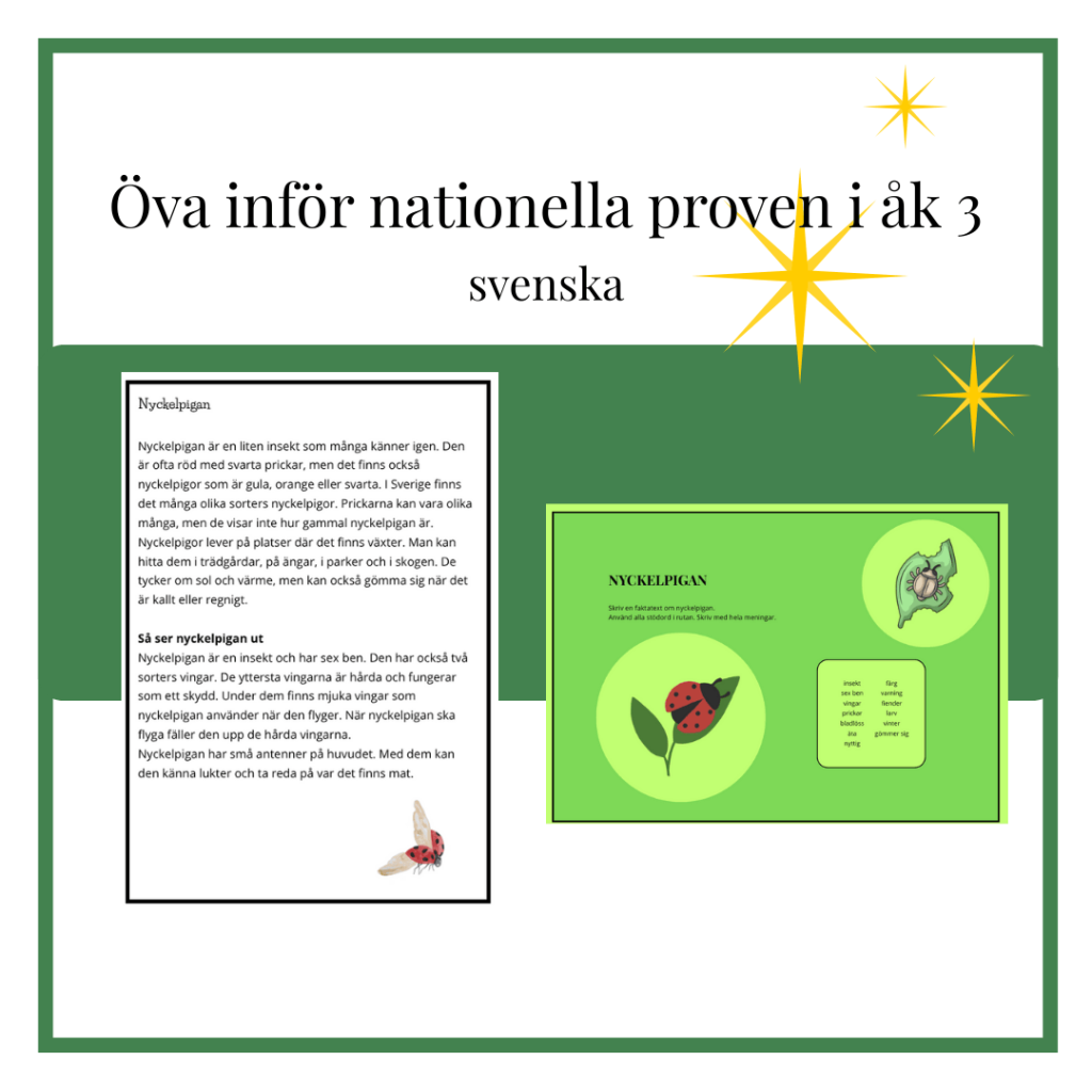 Nyckelpiga – träna inför NP åk 3