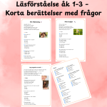 Läsförståelse åk 1–3 – Korta berättelser med frågor - bild 2