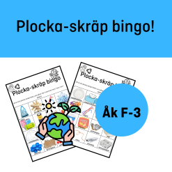 Plocka-skräp bingo