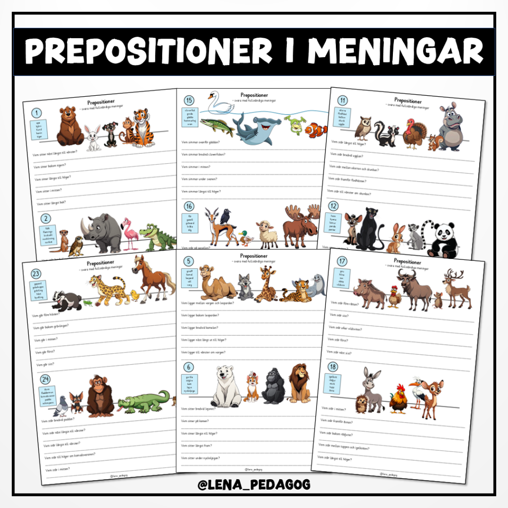 Prepositioner i meningar