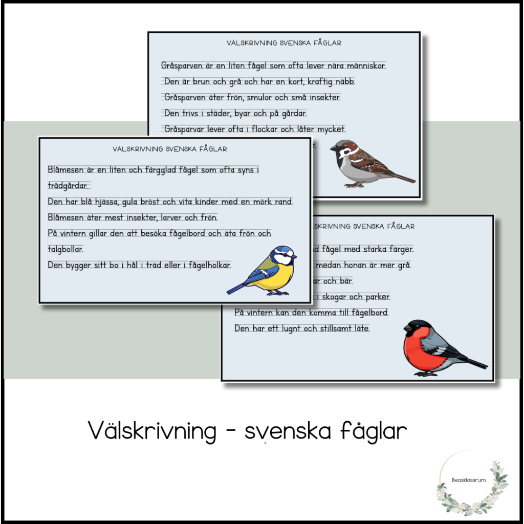 Välskrivning – svenska fåglar