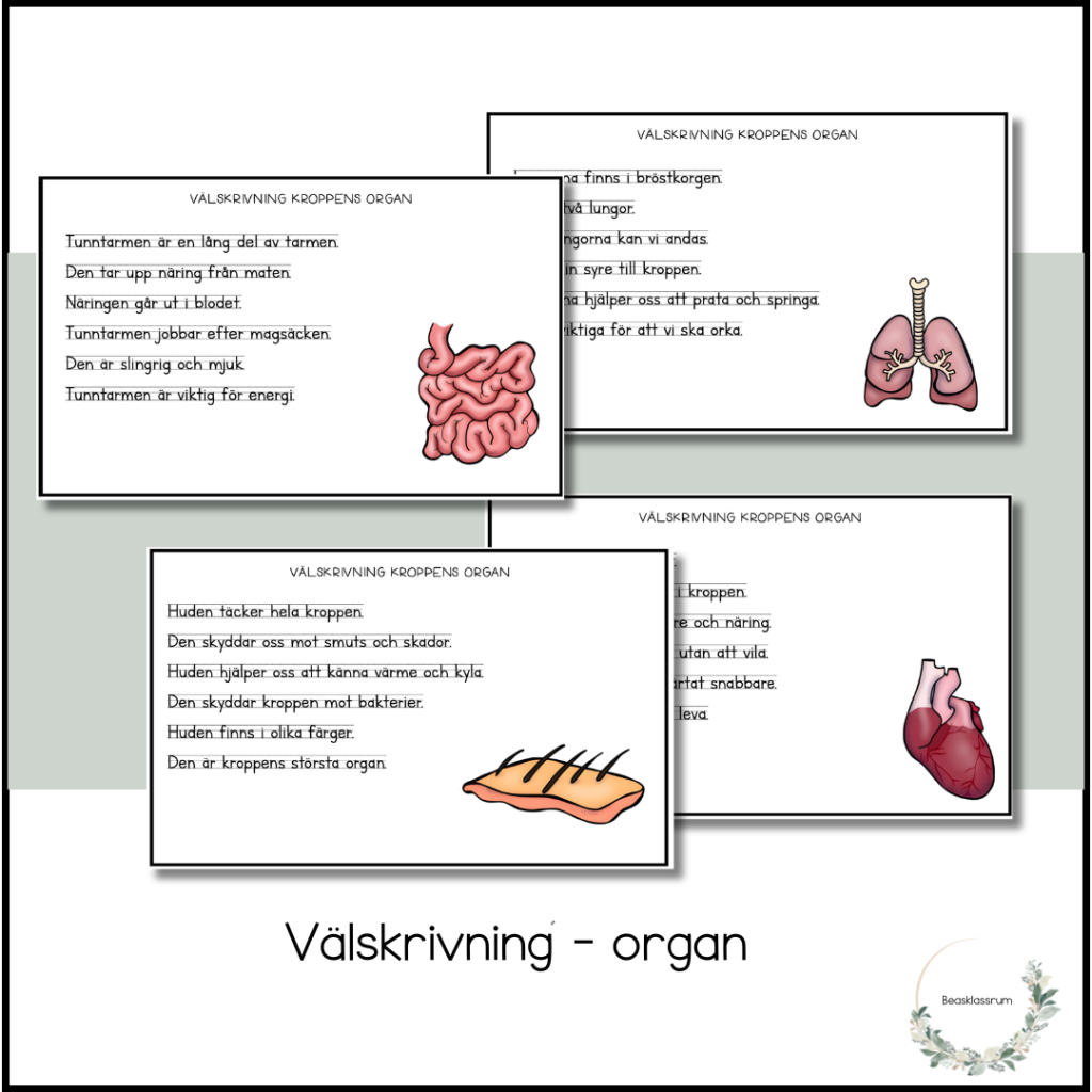 Välskrivning – organ