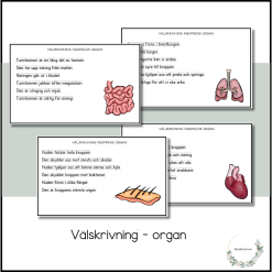 Välskrivning - organ