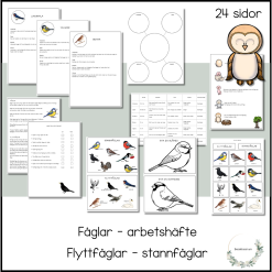 Fåglar - paket