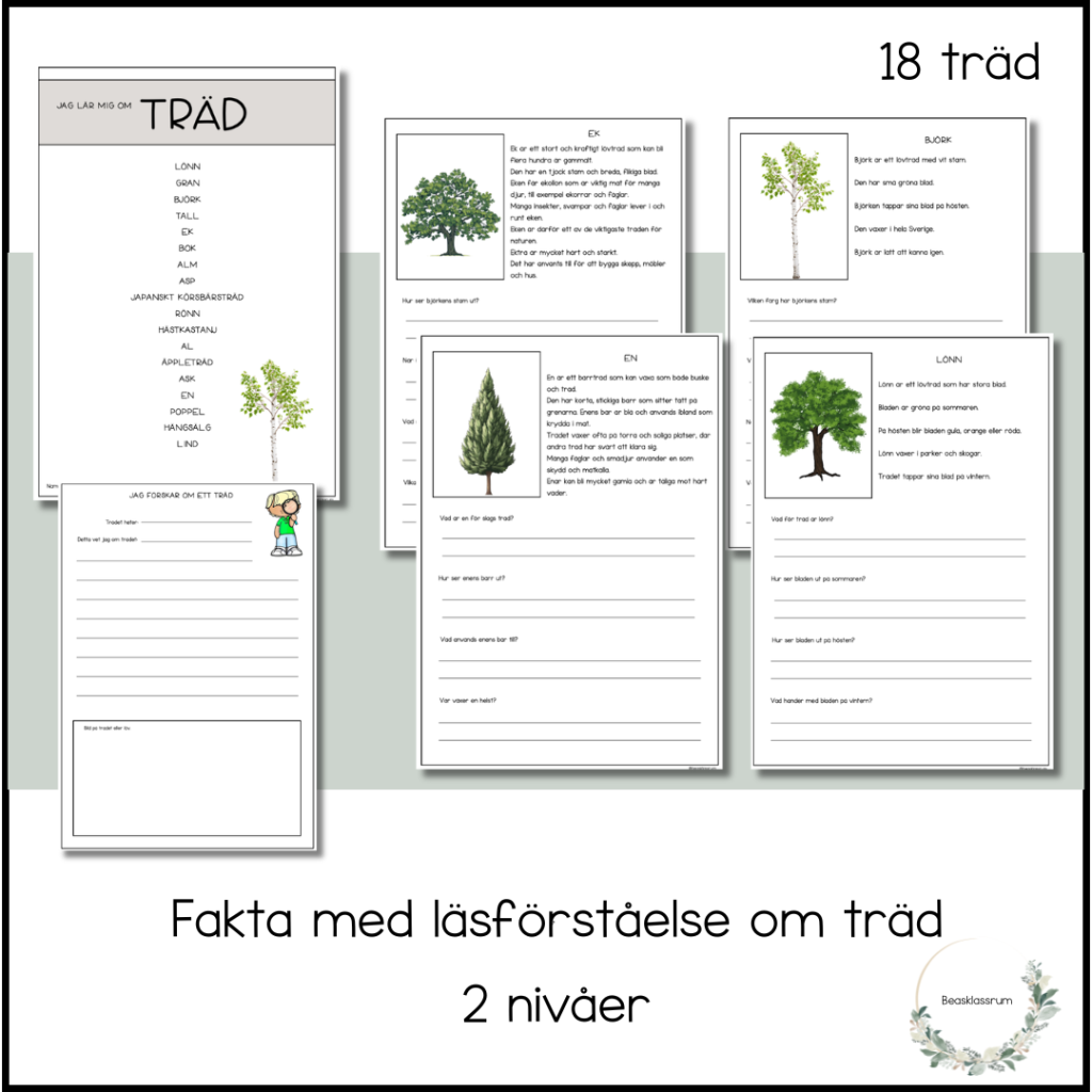 Träd – fakta i 2 nivåer