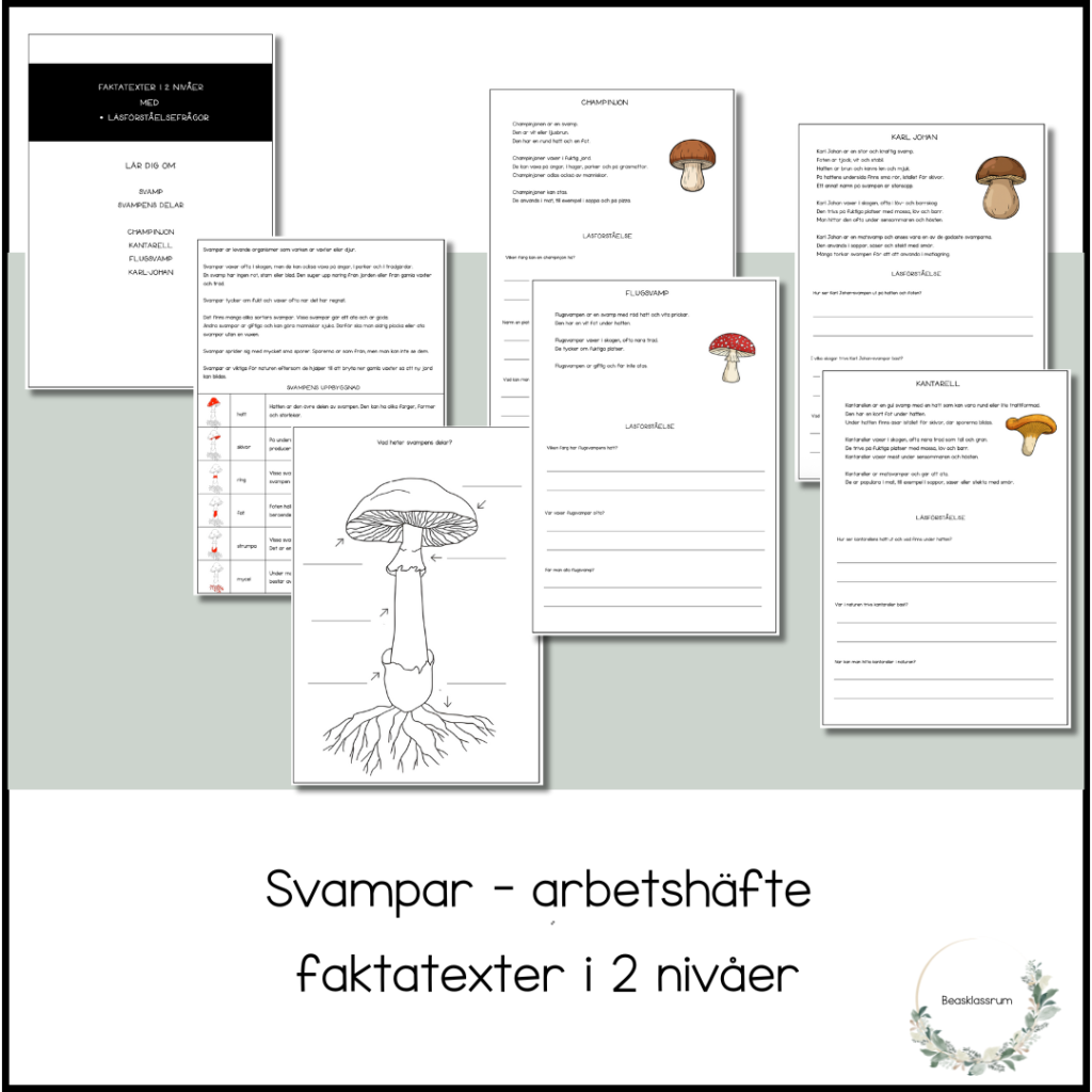Svampar – arbetshäfte i 2 nivåer
