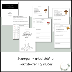 Svampar - arbetshäfte i 2 nivåer
