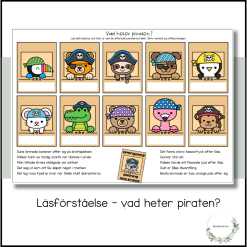 Läsförståelse - vad heter piraten?