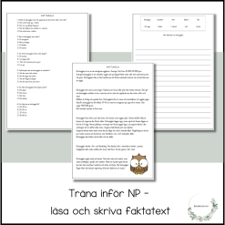 Träna inför NP - faktatext kattuggla