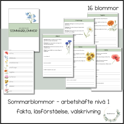Sommarblommor - arbetshäfte nivå 1