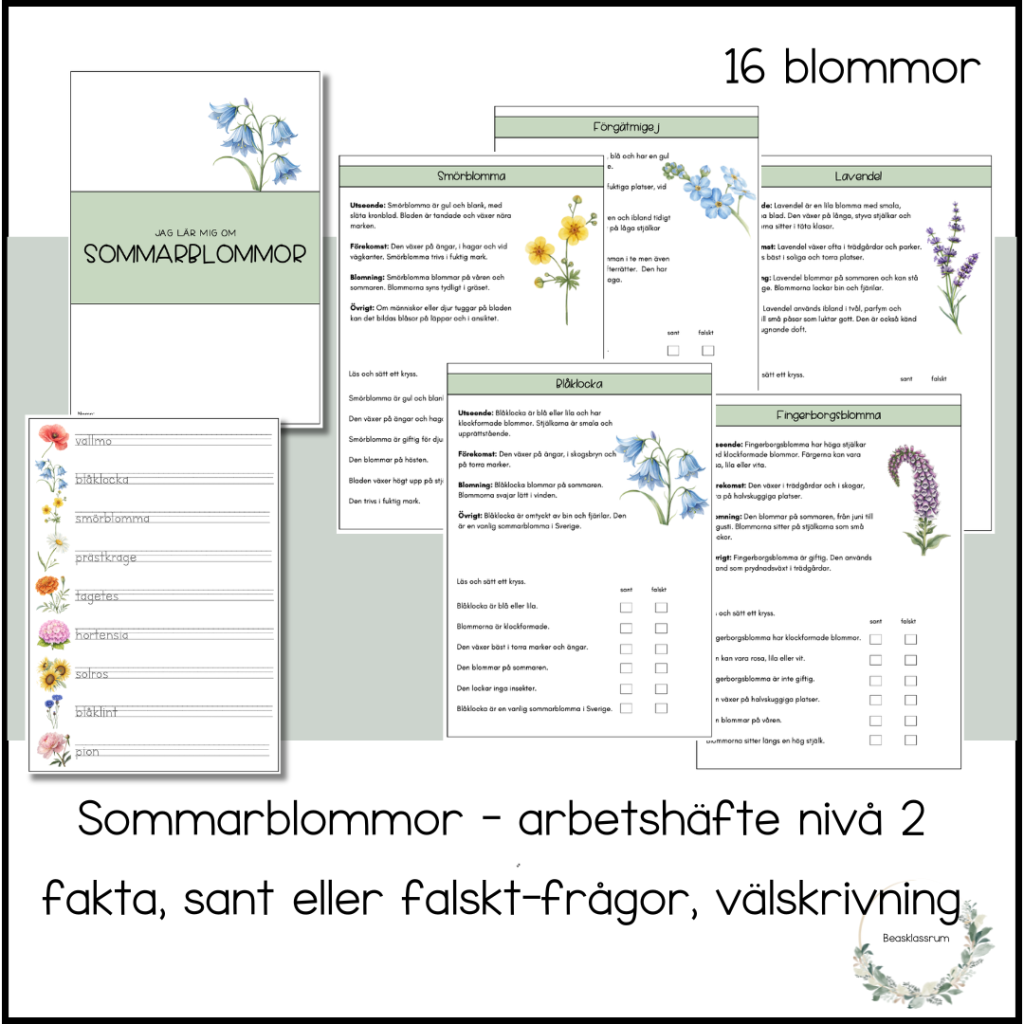 Sommarblommor – arbetshäfte nivå 2