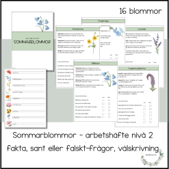 Sommarblommor - arbetshäfte nivå 2