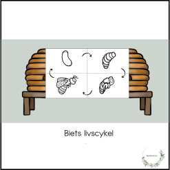 Biets livscykel - bikupan