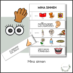 Mina sinnen - vik upp