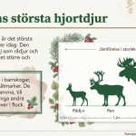 Fakta om älgen - bild 2