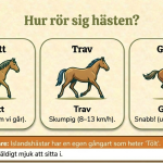 Fakta om hästar - bild 3