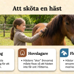 Fakta om hästar - bild 2