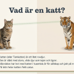 Fakta om katter - bild 2