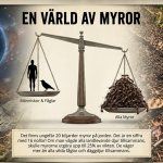 GOTD: Myror - bild 2