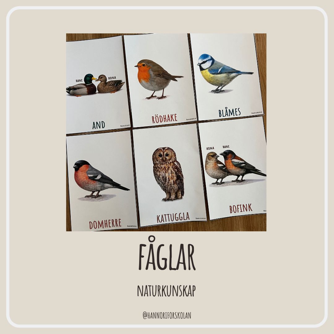 F glar Teach Academy F glar Teach Academy