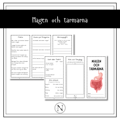 Magen och tarmarna