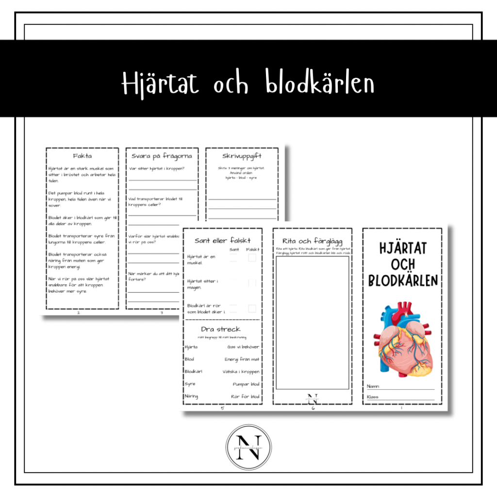 Hjärtat och blodkärlen