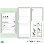 Fåglar – Skriv fakta - bild 4