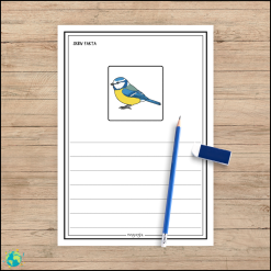 Röda paketet – Fåglar