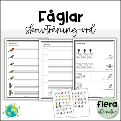 Fåglar - Skriv ord