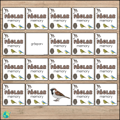 Fåglar - Memory