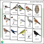 Stora paketet – Fåglar - bild 9