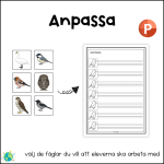 Blåa paketet – Fåglar - bild 8