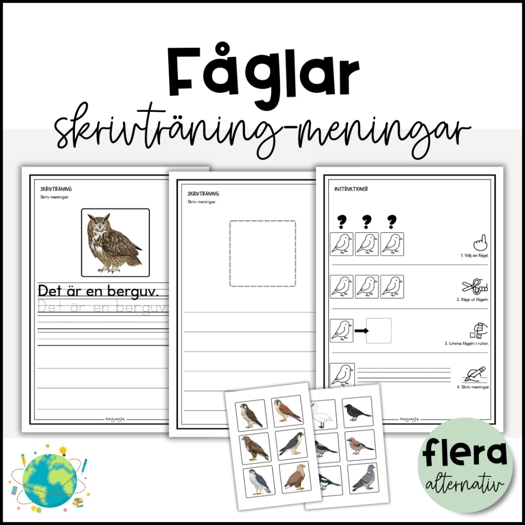 Fåglar – Skriv meningar