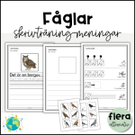 Fåglar – Skriv meningar - bild 1