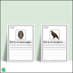 Fåglar – Skriv meningar - bild 3