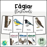 Fåglar – Flashcards - bild 1