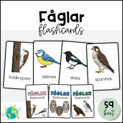Fåglar - Flashcards
