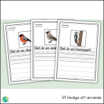 Fåglar – Skriv meningar - bild 4