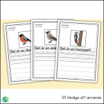 Gula paketet – Fåglar - bild 5