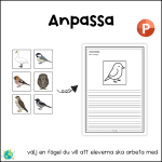 Gula paketet – Fåglar - bild 8